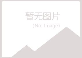 兴文县冰夏咨询有限公司